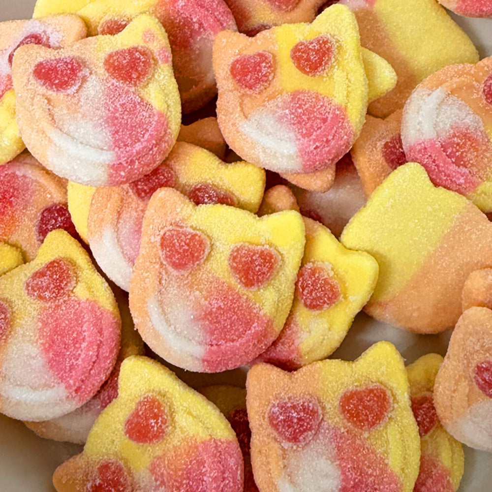 Foam Sour Mango, Passion Fruit & Orange Kittens (Gluten Free) (Gelatin Free)